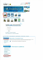 consulta notas.pdf